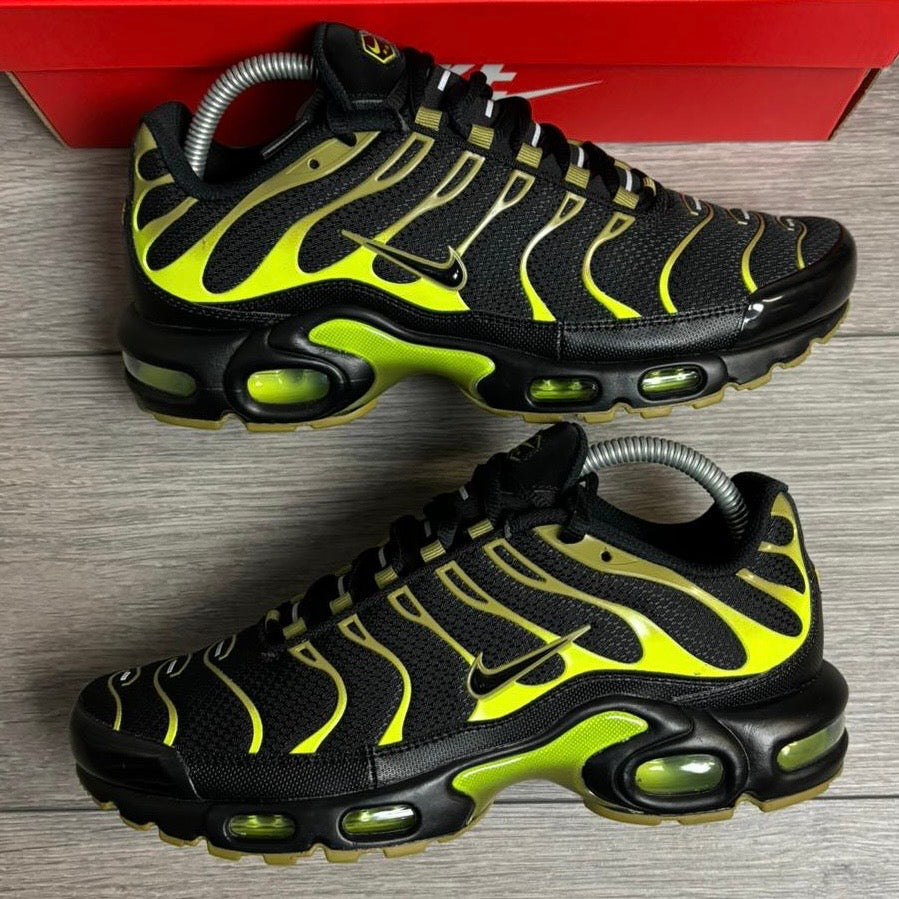 Nike Air Max TN Pacific Moss